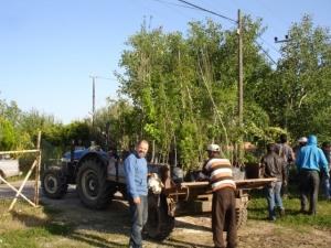 Nisan 2013 dikilen ağa&ccedil;lar listesi