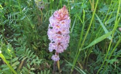 Toprak iyileştirme çalışmaları